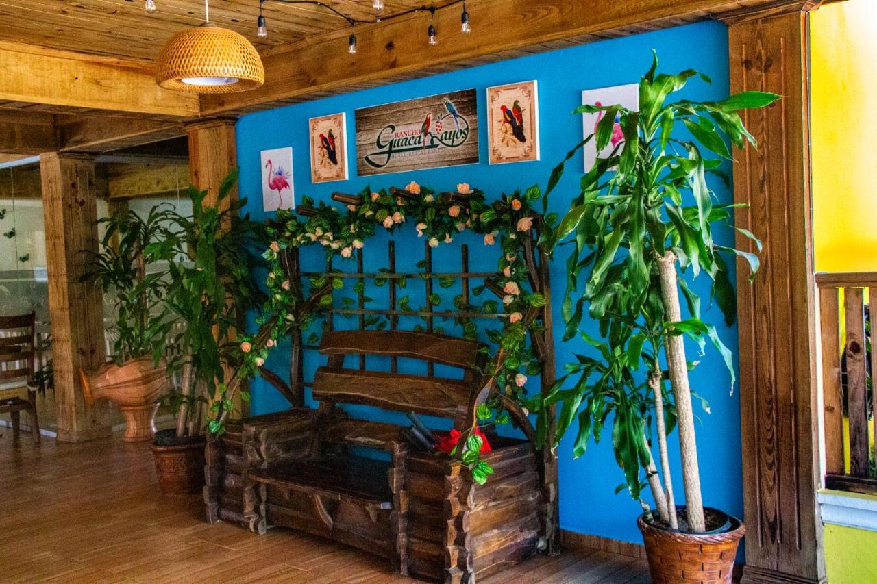 Deluxe Suites Guacamayos - Eco-Lodge & Swimming Pool Bonao Zewnętrze zdjęcie